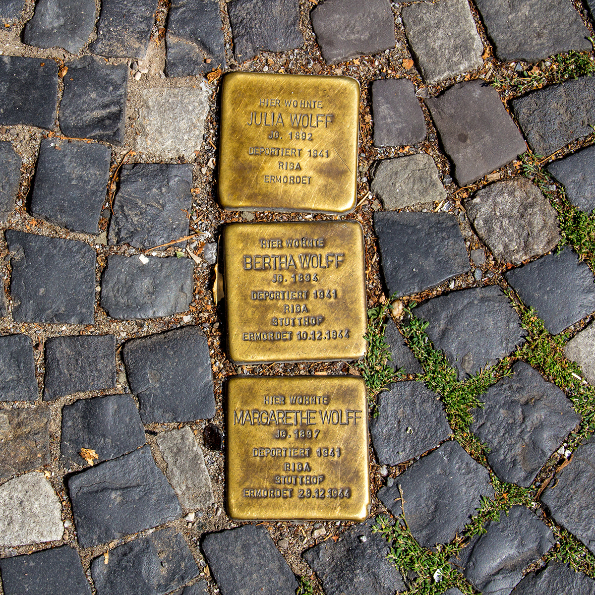 Three small bronze plaques placed into a cobblestone road memorializing Holocaust victims
