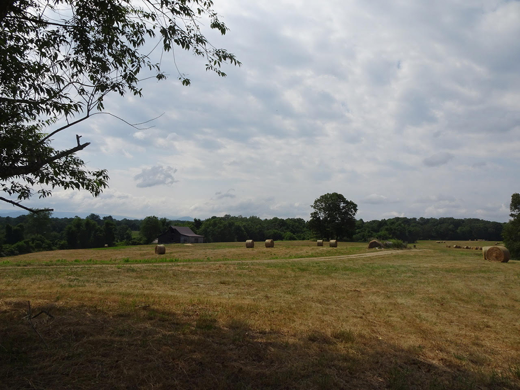 Grassy field located on Panorama Farms on a sunny day with hay bales in the background