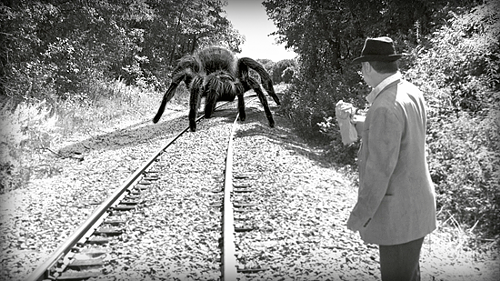 giant-spider02.png