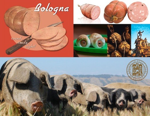 bologna_CONTEST_IMG.jpg