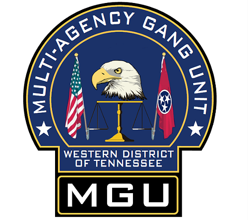 multi-agency_gang_unit.png