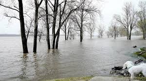 Mayors from Mississippi River towns told federal agencies they want to improve the river with flood control measures, for example.