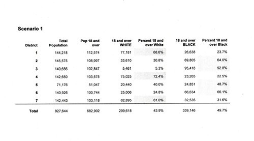 Population breakdown for Scenario 1