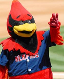 6_rockey_redbird.jpg