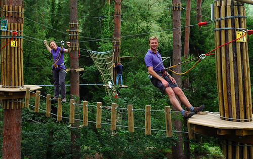 Scene from a Go Ape course