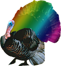 Queer_turkey.png