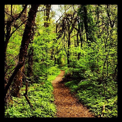 The Overton Park Conservancy is urging park users to use caution on trails in the Old Forest following a series of robberies.