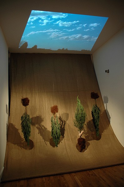 Uproot/Re-root, 2009